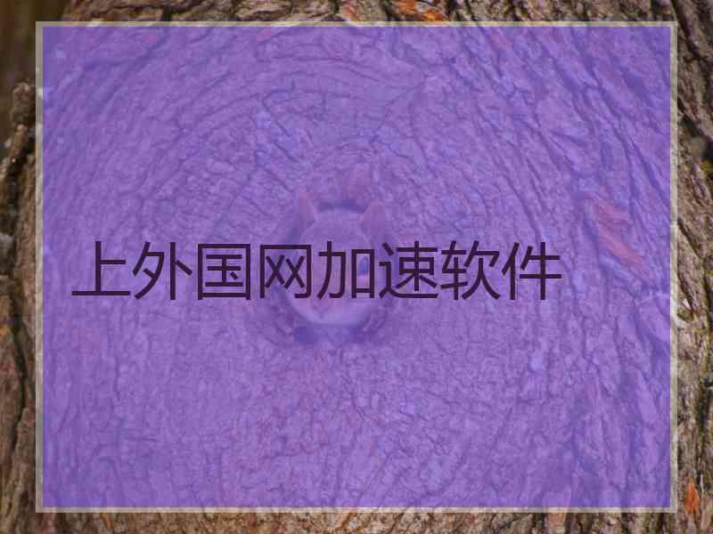 上外国网加速软件