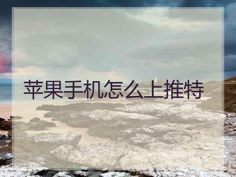 苹果手机怎么上推特