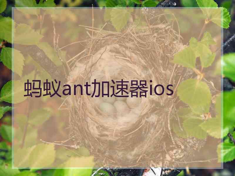 蚂蚁ant加速器ios
