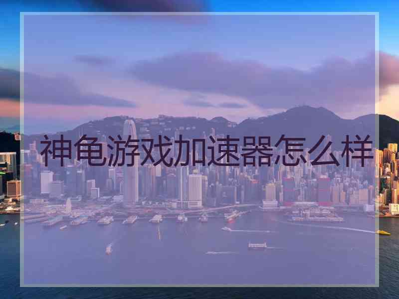 神龟游戏加速器怎么样
