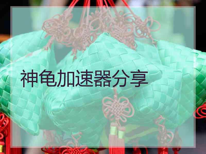 神龟加速器分享