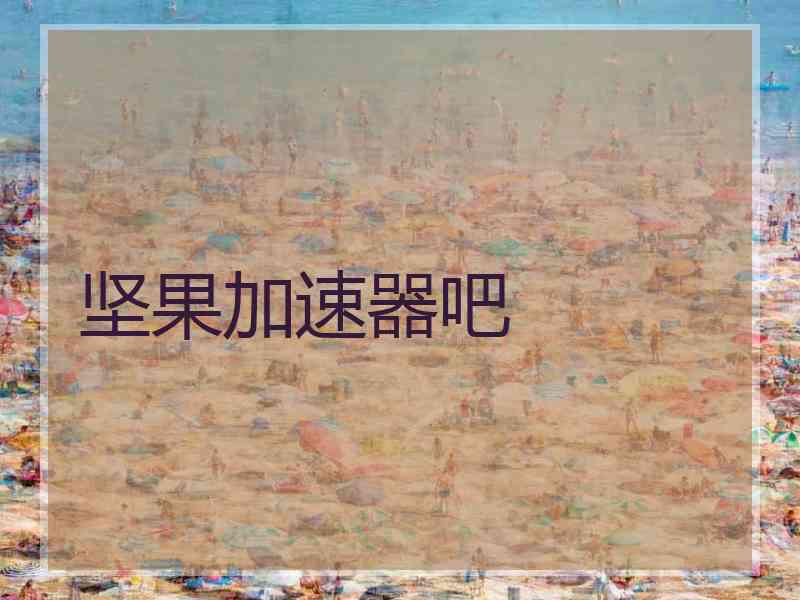 坚果加速器吧