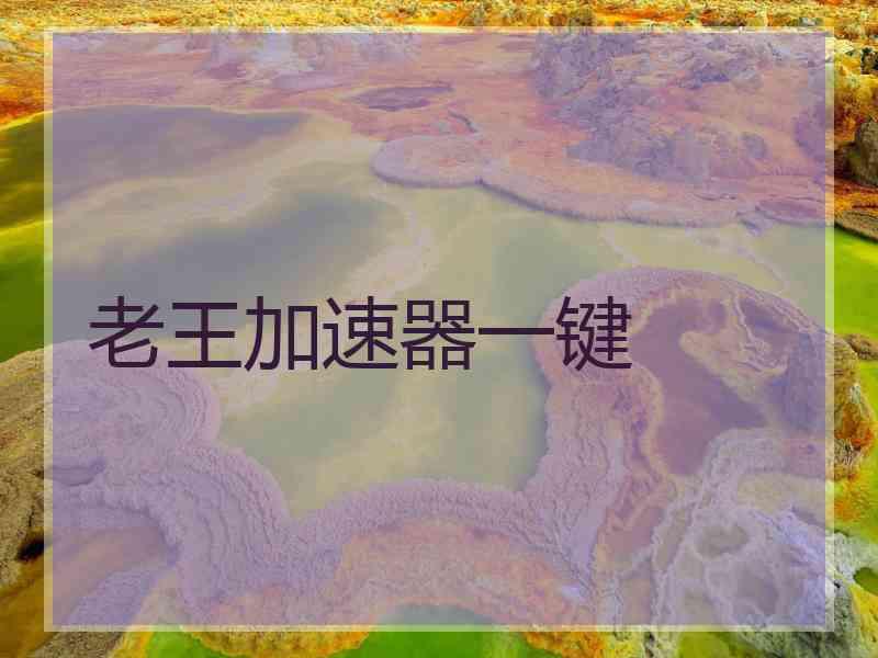老王加速器一键