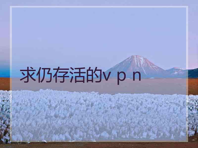 求仍存活的v p n