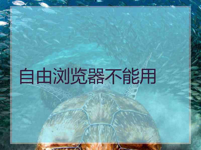 自由浏览器不能用