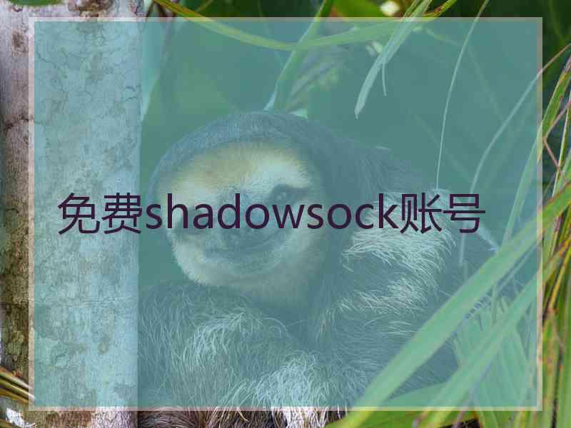 免费shadowsock账号