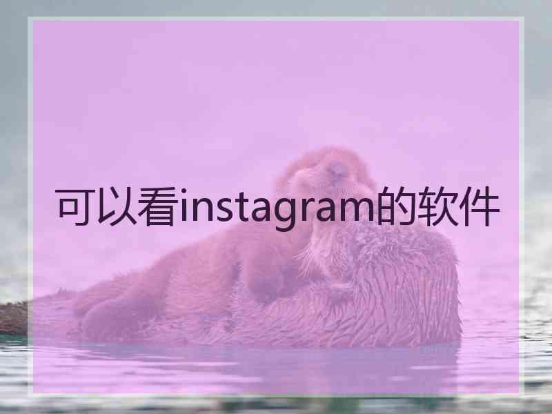 可以看instagram的软件