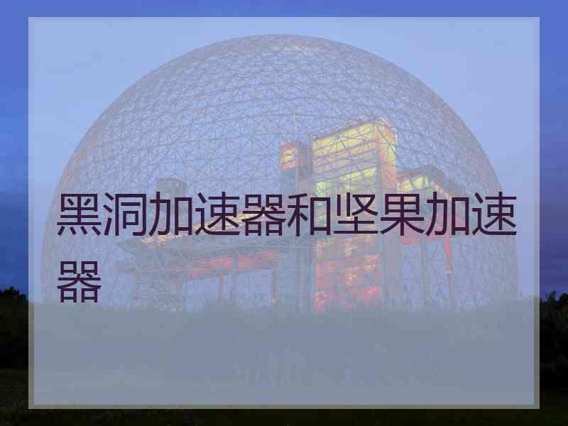 黑洞加速器和坚果加速器