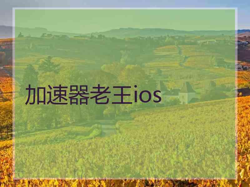 加速器老王ios