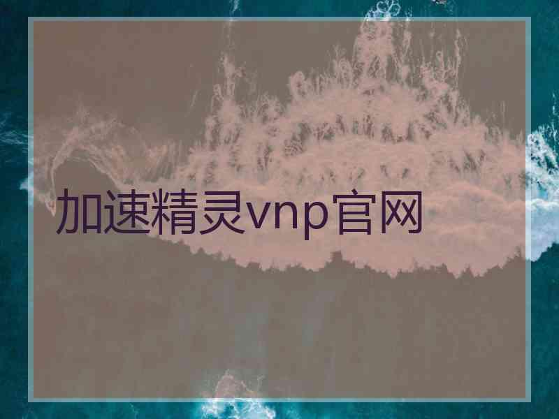 加速精灵vnp官网