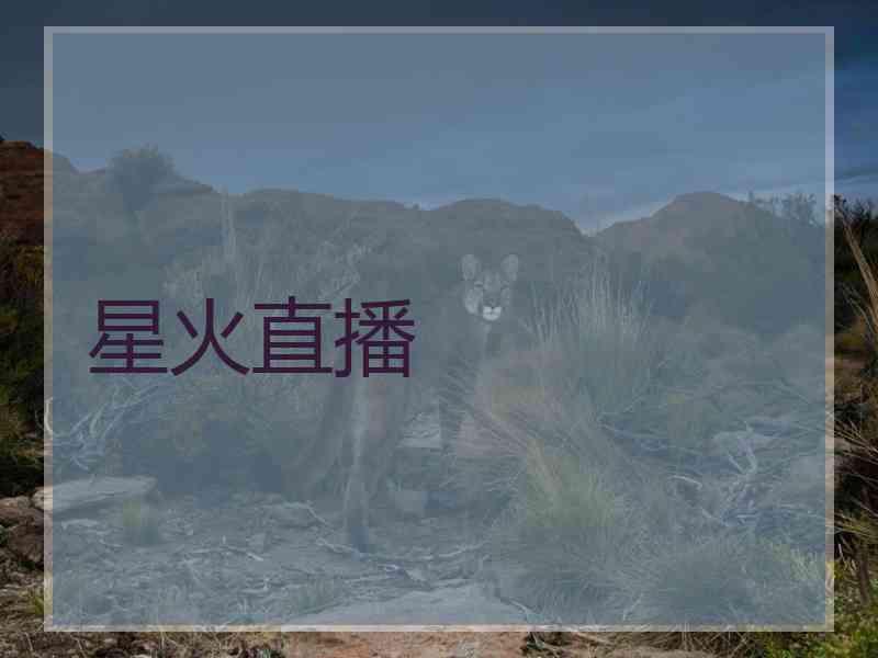星火直播
