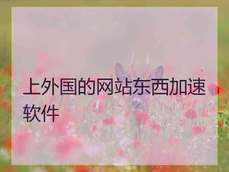上外国的网站东西加速软件
