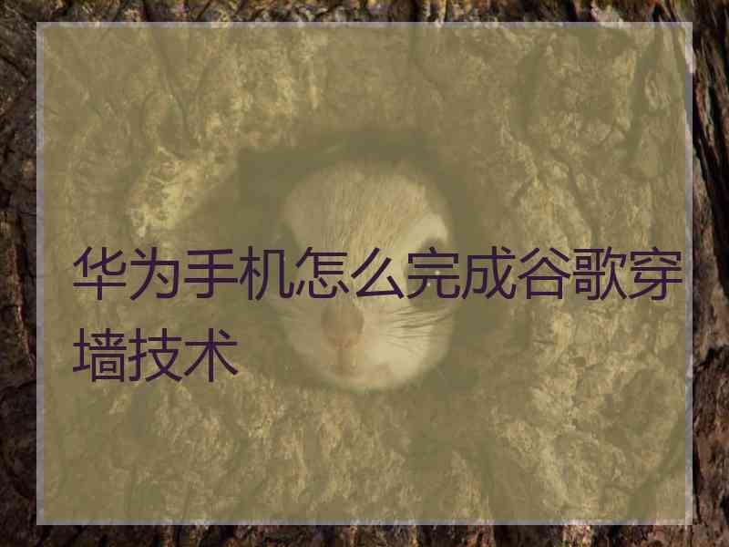 华为手机怎么完成谷歌穿墙技术