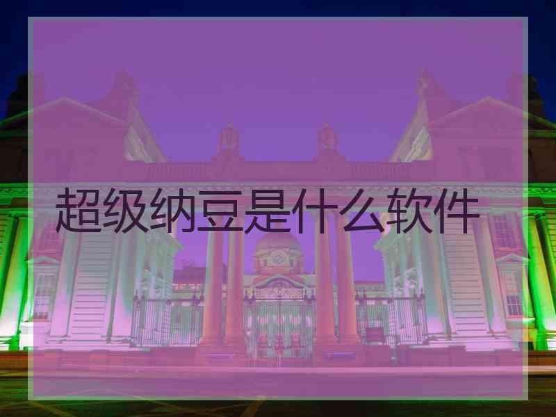 超级纳豆是什么软件