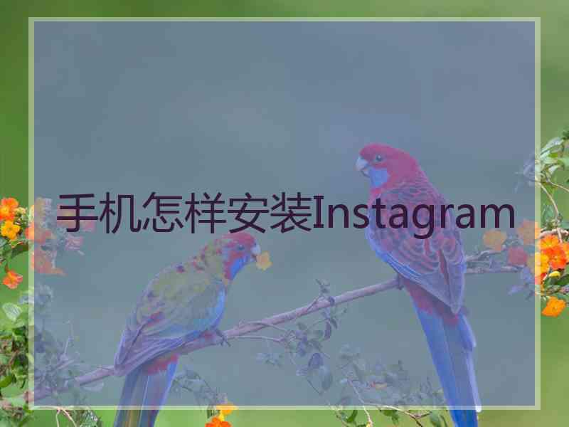 手机怎样安装Instagram