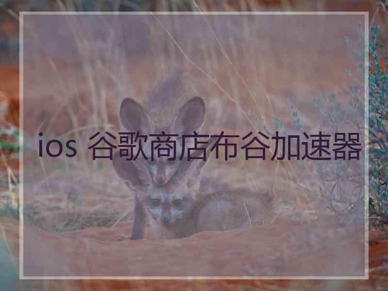 ios 谷歌商店布谷加速器