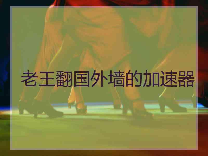 老王翻国外墙的加速器
