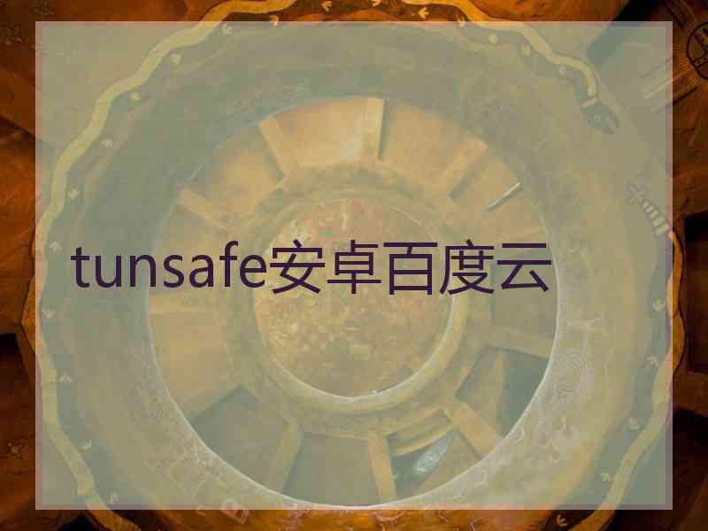 tunsafe安卓百度云