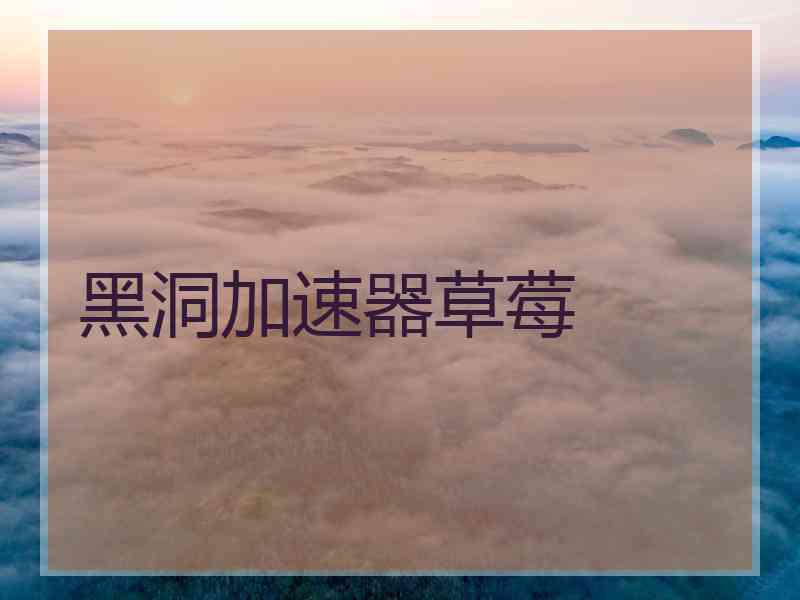 黑洞加速器草莓