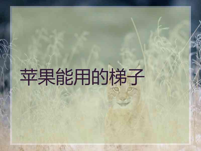 苹果能用的梯子