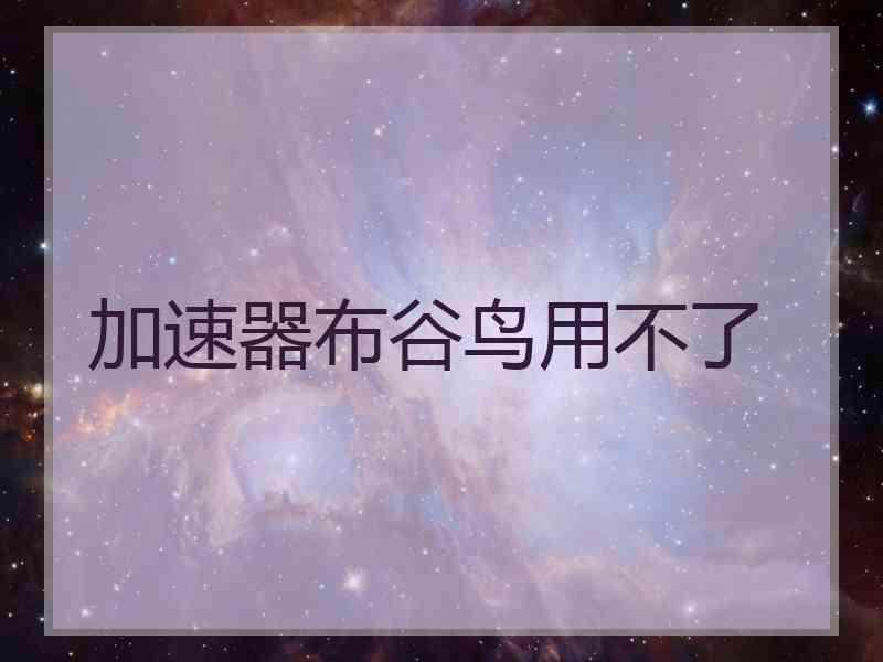 加速器布谷鸟用不了