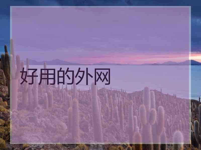好用的外网