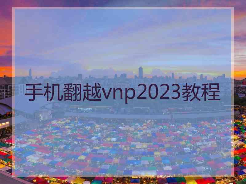 手机翻越vnp2023教程