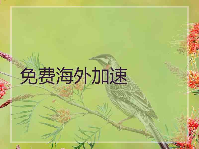 免费海外加速