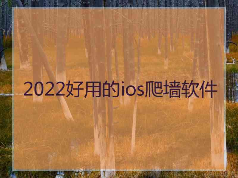 2022好用的ios爬墙软件