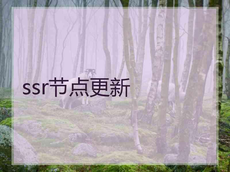ssr节点更新
