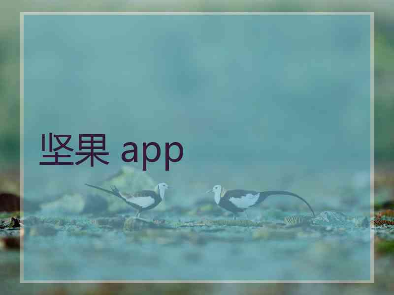 坚果 app