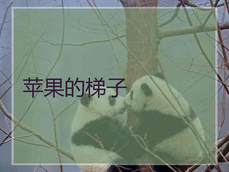 苹果的梯子