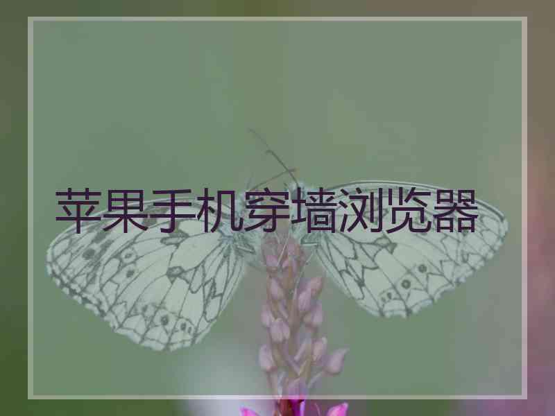 苹果手机穿墙浏览器