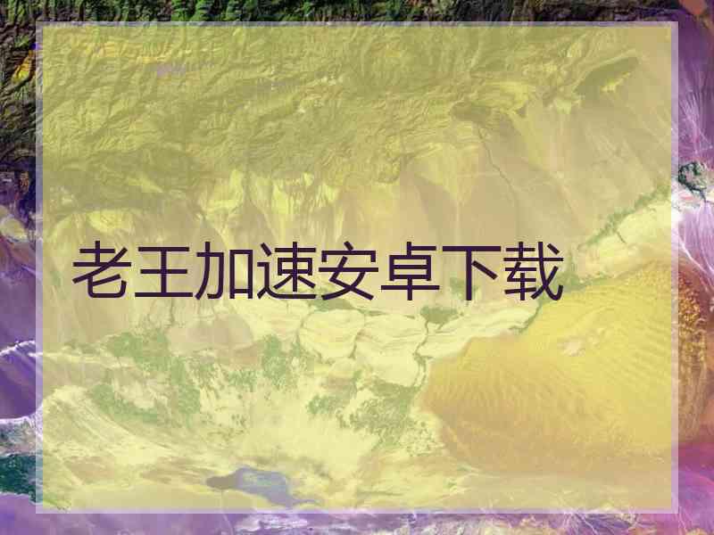 老王加速安卓下载