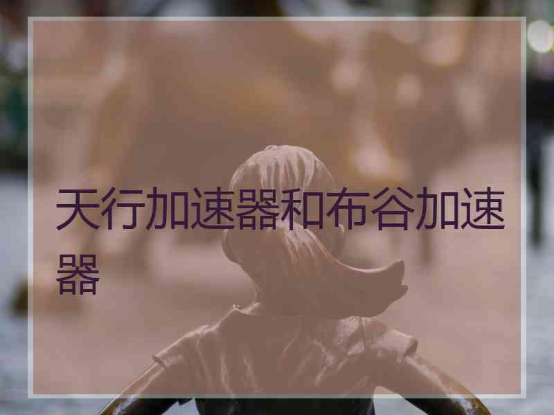 天行加速器和布谷加速器