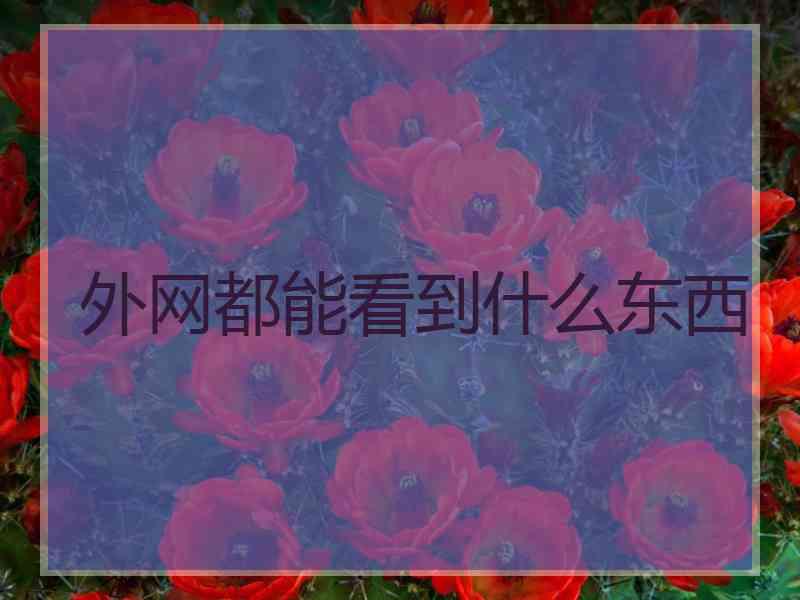 外网都能看到什么东西