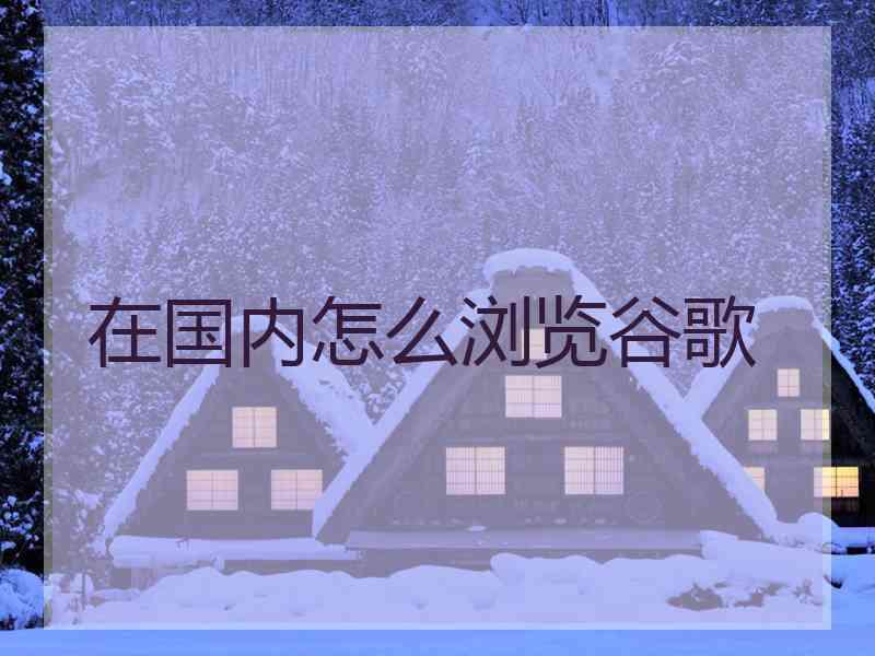 在国内怎么浏览谷歌