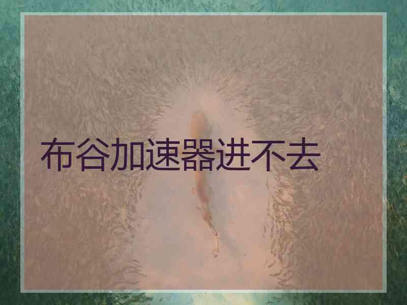 布谷加速器进不去