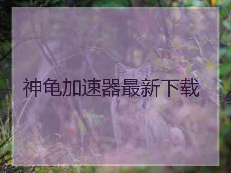 神龟加速器最新下载