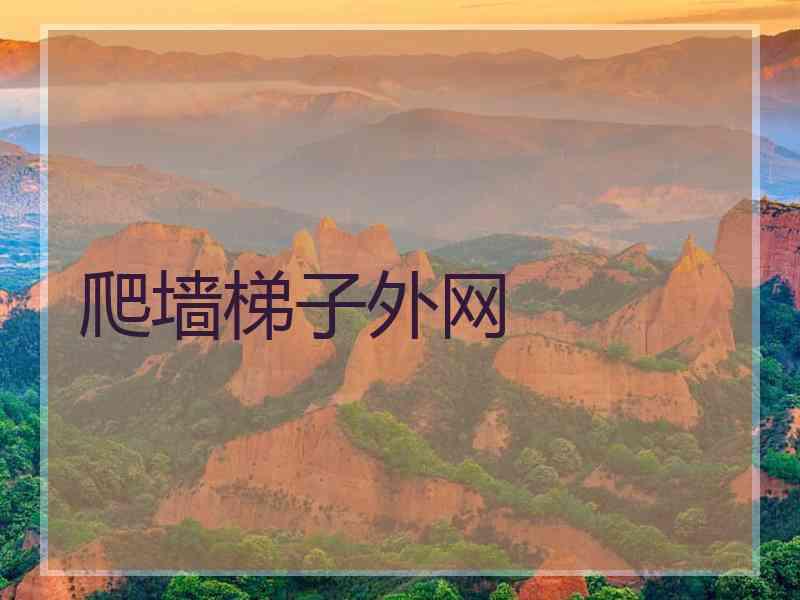 爬墙梯子外网