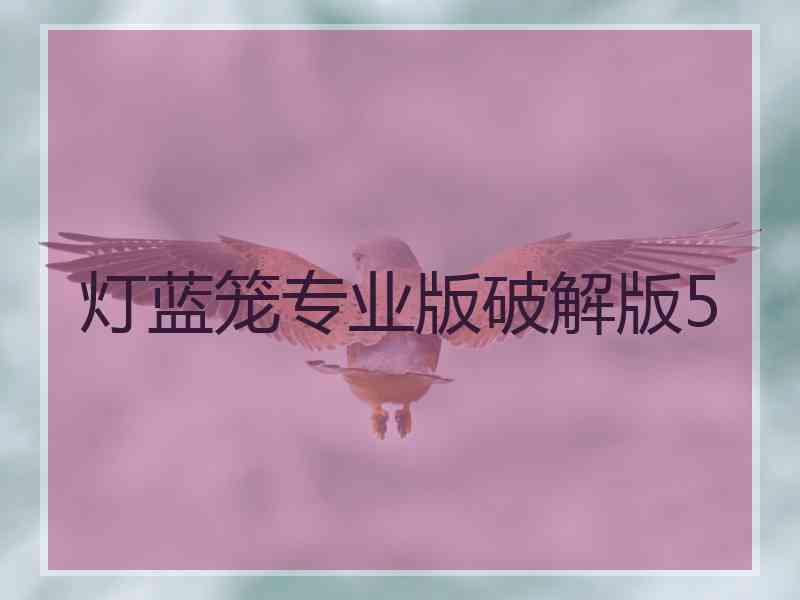 灯蓝笼专业版破解版5