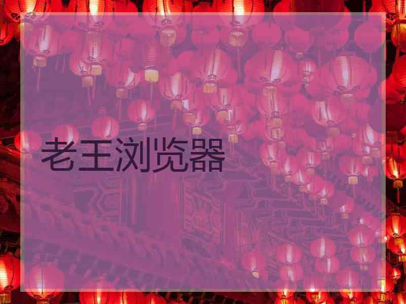 老王浏览器