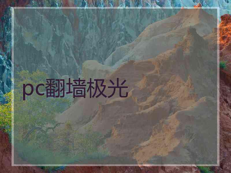 pc翻墙极光