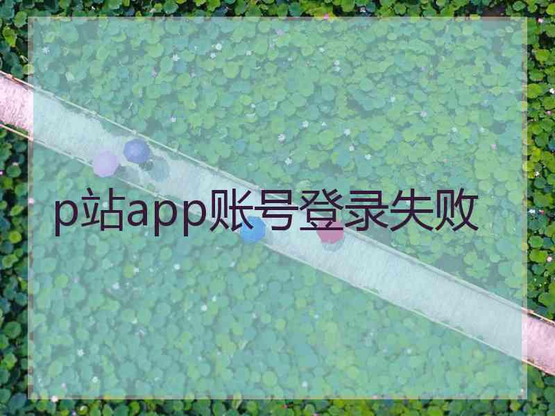 p站app账号登录失败
