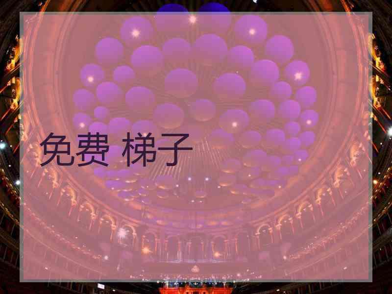 免费 梯子