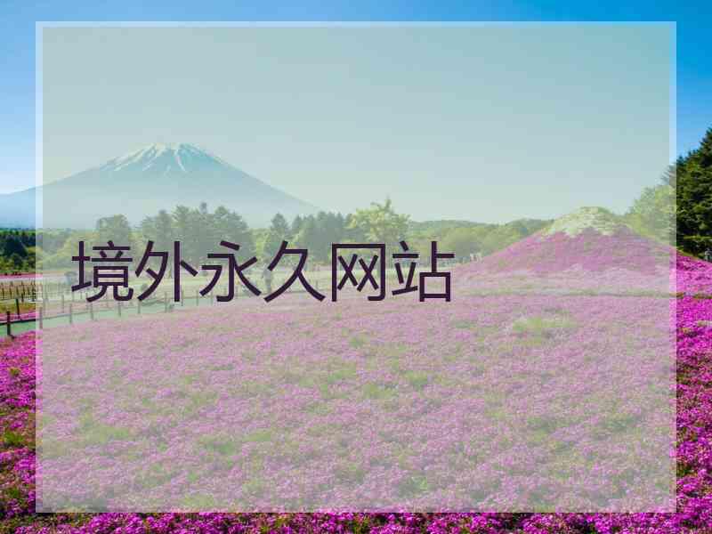 境外永久网站