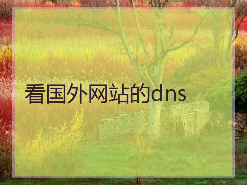 看国外网站的dns