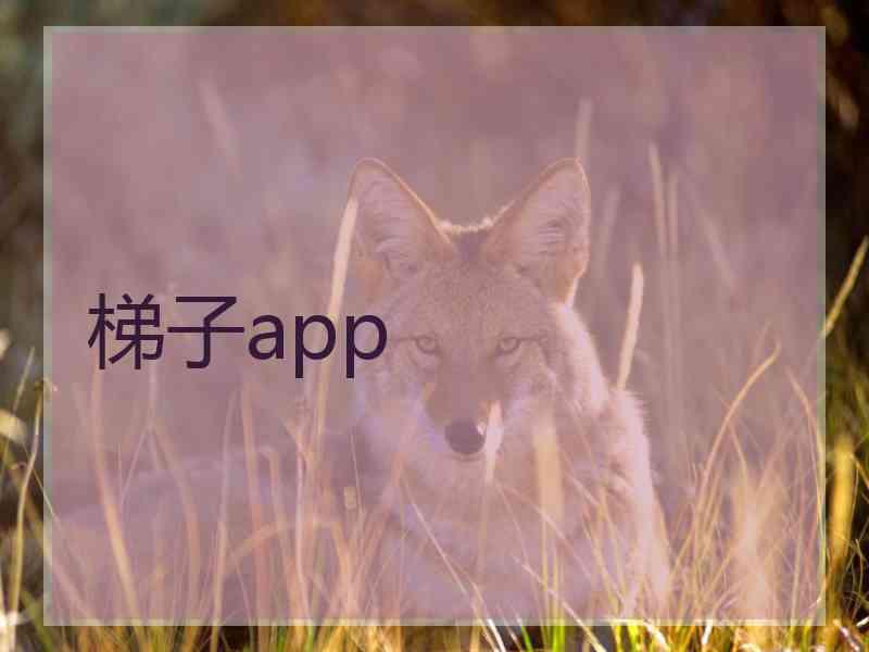 梯子app