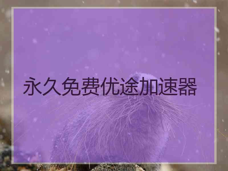永久免费优途加速器