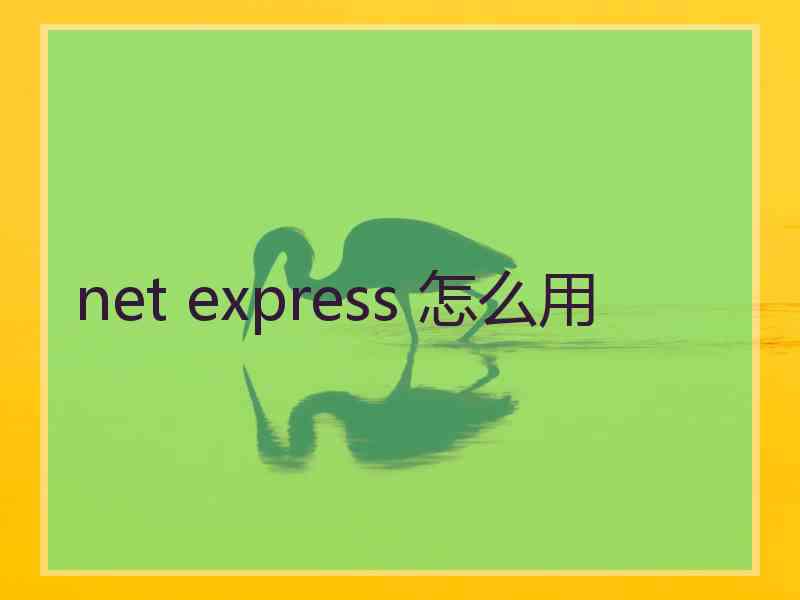 net express 怎么用